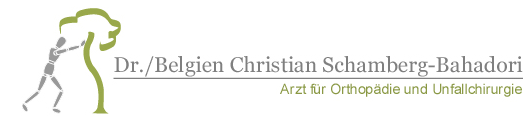 Ortho-Logo_1